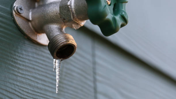 Best Faucet Repair  in Pine Lakes, FL