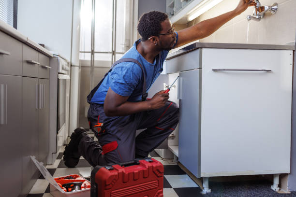 Best Affordable Plumber Near Me  in Pine Lakes, FL